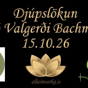 Skyggnilýsing, Valgerður bachmann, ársspá, draugar, miðill, spá og miðlun, draumar, þrónuarhópur, andlega málefni, tilfinningar, sjálfsvinna,Sálarrannsókarfélag Íslands, dáleiðsla, Valgerður Bachmann, Tarot spil, dáði folk, hreinsa hús, spákona, spil, draugur, reimt, dáleiða, námskeið, miðilsfundur, dáleiðsla, dáliða, sálarannsóknarfélag Ísland, sáló, Skipholt 50d, pure deli. hraundis.is